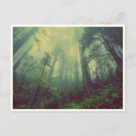 ruhiger Wald Postkarte