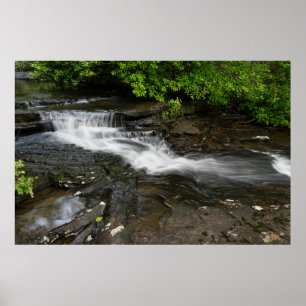 Ruhiger Waldwasserfall Poster