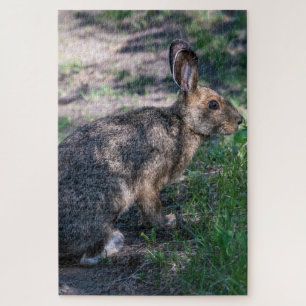 Ruhiges Kaninchen: Zurückhalten in der Natur