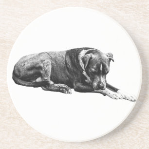 Ruhiges Paws-Untersetzer-Set Getränkeuntersetzer
