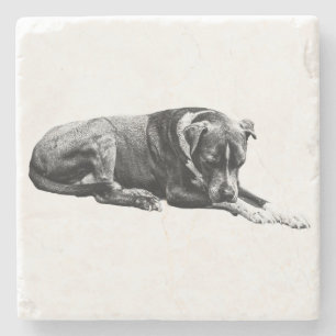 Ruhiges Paws-Untersetzer-Set Steinuntersetzer