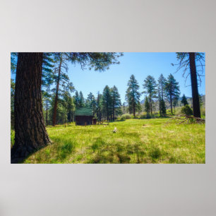 Ruhiges Waldrefugium-Waldposter mit Hütte Poster