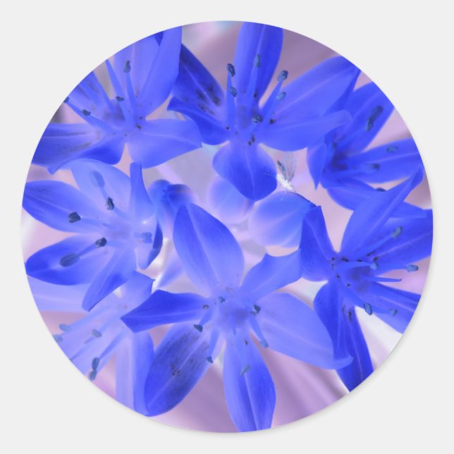 Ruhm der schneebedeckenden blauen Aufkleber (Vorderseite)