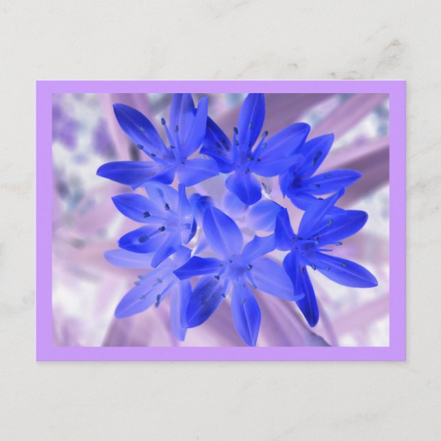 Ruhm der schneebedeckenden blauen Postkarte (Vorderseite)