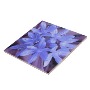 Ruhm der schneeblauen Tile Fliese