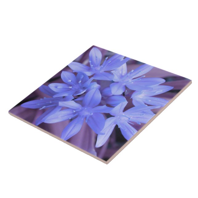 Ruhm der schneeblauen Tile Fliese (Seite)