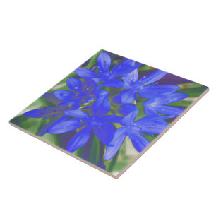 Ruhm der schneefluoreszierenden blauen Tile Fliese