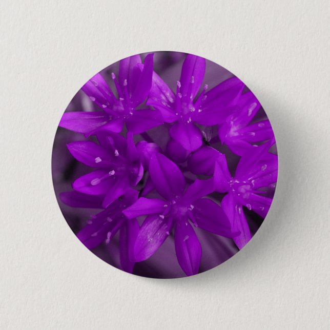 Ruhm des Lila Schneekanals Button (Vorderseite)