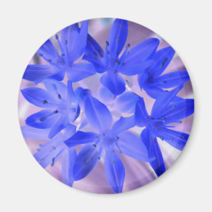 Ruhm des schneebedeckenden blauen Magneten Magnet