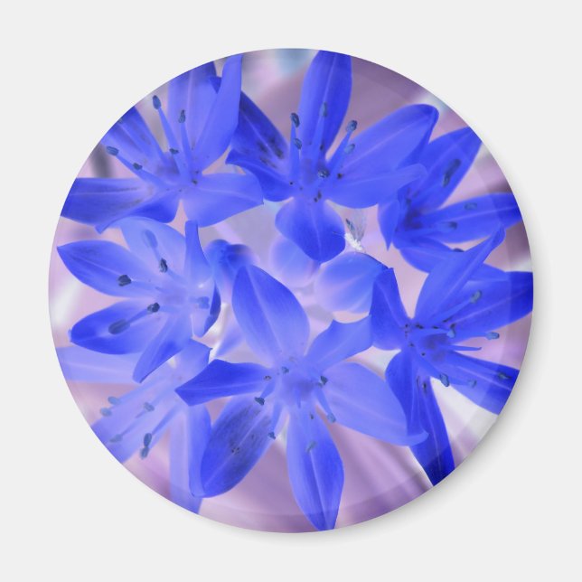 Ruhm des schneebedeckenden blauen Magneten Magnet (Vorne)