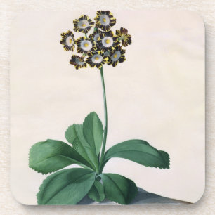Ruhm von Chilton (Gouache auf Pergament) Getränkeuntersetzer