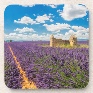 Ruin in in Lavender Field, Frankreich Untersetzer