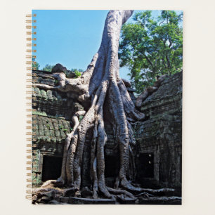Ruin von Ta Prohm - Angkor Wat, Kambodscha, Asien Planer