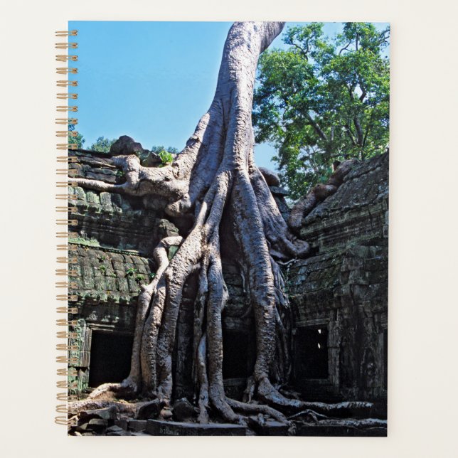 Ruin von Ta Prohm - Angkor Wat, Kambodscha, Asien Planer (Vorderseite)