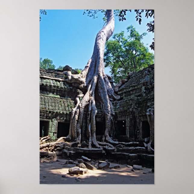 Ruin von Ta Prohm - Angkor Wat, Kambodscha, Asien Poster (Vorne)