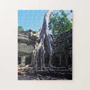 Ruine von Ta Prohm - Angkor Wat, Kambodscha, Asien