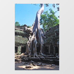 Ruine von Ta Prohm - Angkor Wat, Kambodscha, Asien Fensteraufkleber
