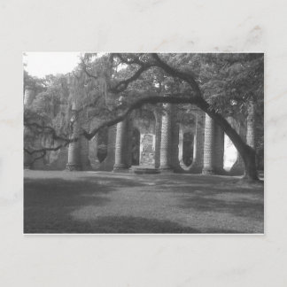 Ruinen der alten Sheldon Kirche in Yemassee, SC Postkarte