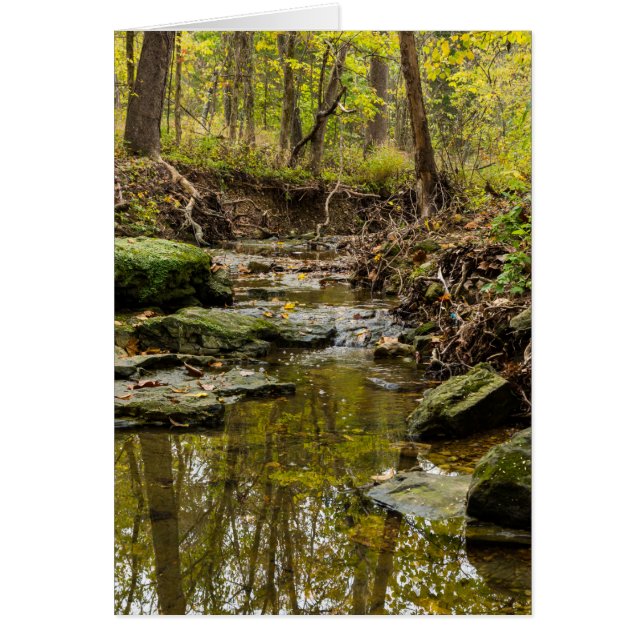 Ruisseau North Wears (Devant)