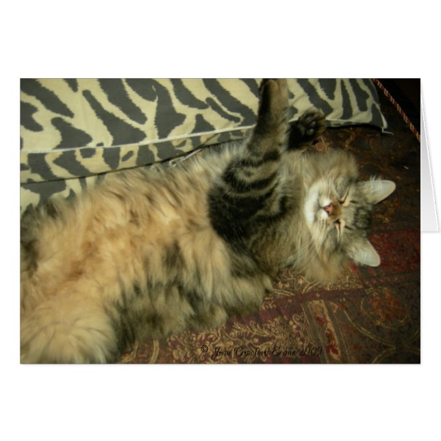 Rum Tum in Position (Vorderseite (Horizontal))