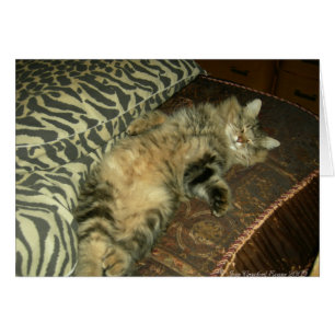 Rum Tum tummy