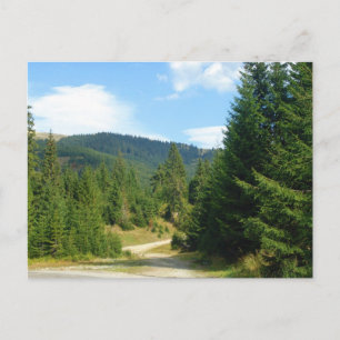 Rumänien, Moldau, unter den Kiefernwäldern Postkarte