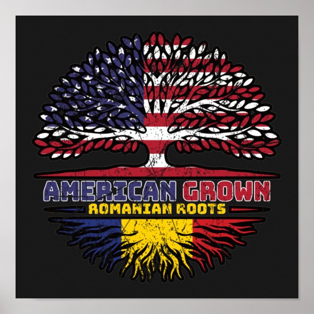 Rumänien Rumänien USA USA USA Vereinigte Staaten Poster (Vorne)