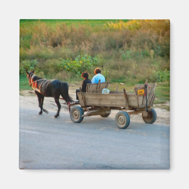 Rumänien, Transport von Pferden und Karren Magnet (Vorne)