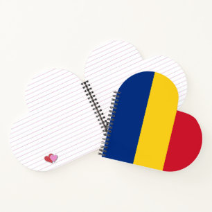 Rumänische Flagge Notizbuch
