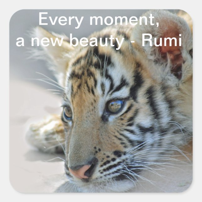 Rumi Beauty Quadratischer Aufkleber (Vorderseite)