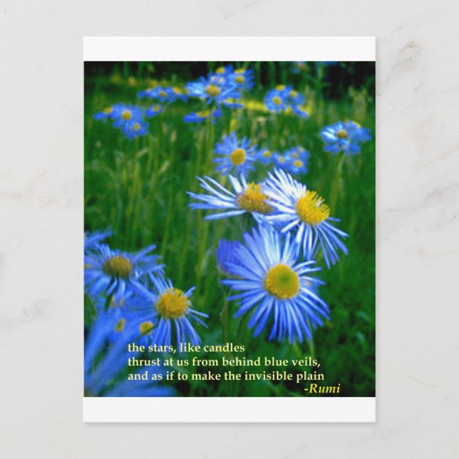 Rumi-Blue Postkarte (Vorderseite)