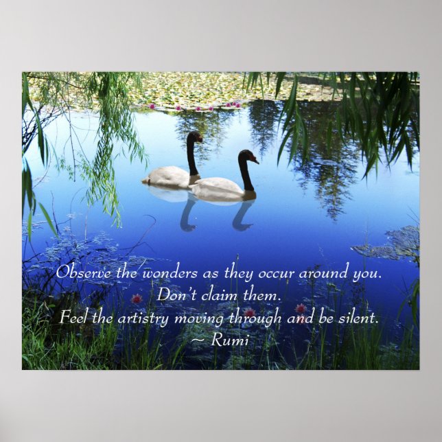 Rumi The Wunders Poster (Vorne)