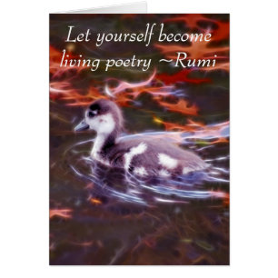 Rumi wird lebende Poesie