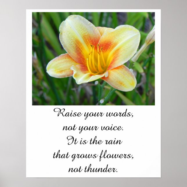 Rumi Zitat - Poster (Vorne)