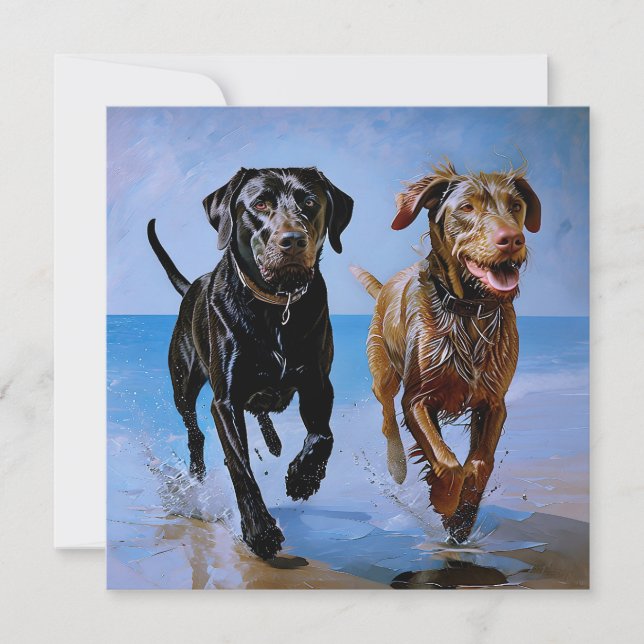 "Run free, run Together" Beachside Best Buddies (Vorderseite)