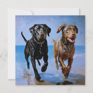 "Run free, run Together" Beachside Best Buddies Einladung