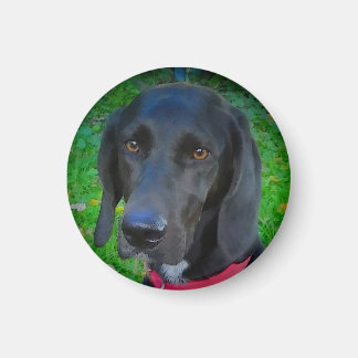 RUND KÜHLSCHRANK MAGNET, SCHWARZE LAB, GIFTS, HAUS MAGNET