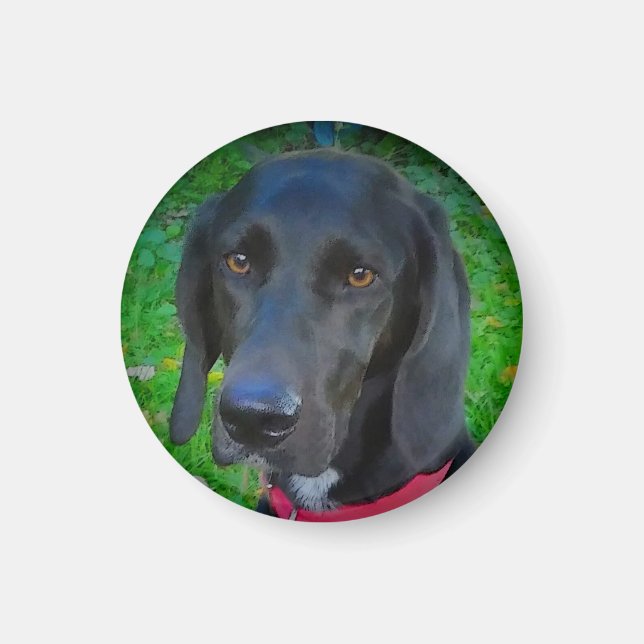 RUND KÜHLSCHRANK MAGNET, SCHWARZE LAB, GIFTS, HAUS MAGNET (Vorne)