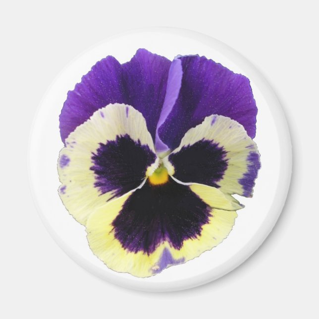 Rund Lila und gelb Pansy Magnet (Vorne)