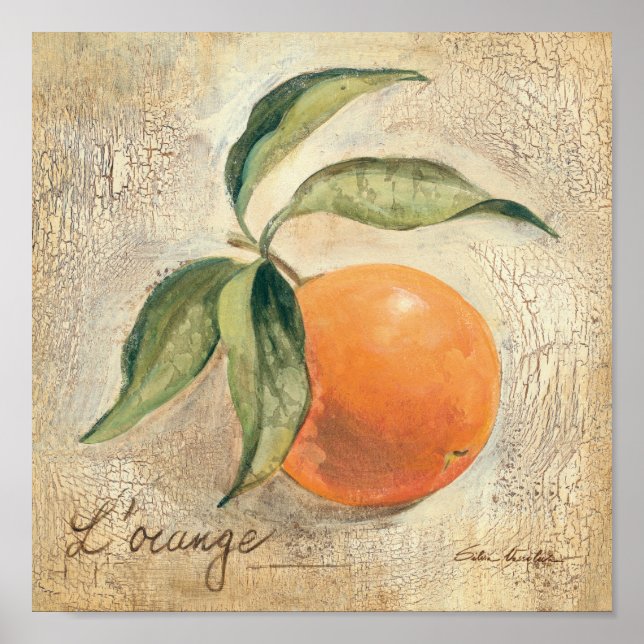 Rund Shiny Orange Frucht Poster (Vorne)
