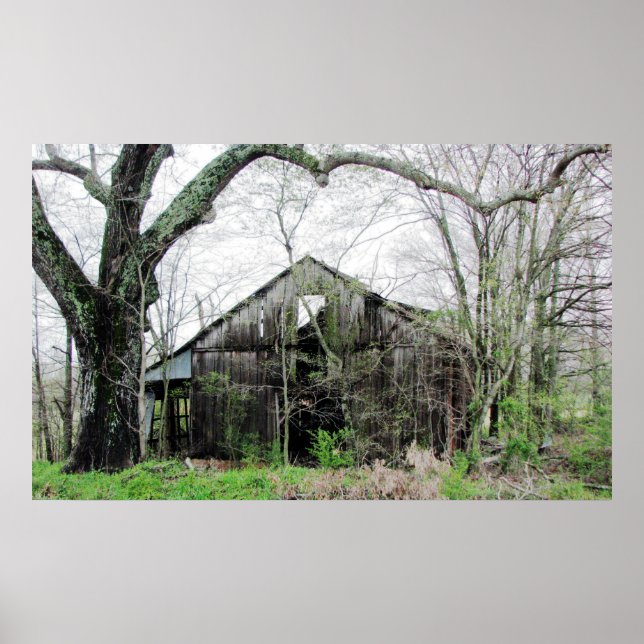 Rund um die Ecke Poster (Vorne)