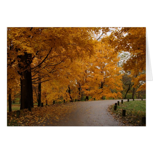 "Rund um die Grenze" (Vorderseite (Horizontal))