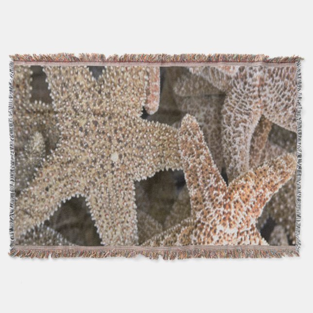 Rund um die Starfish Decke (Vorderseite)