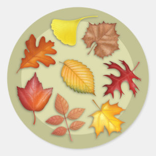 Rundaufkleber für Herbstleaale Runder Aufkleber