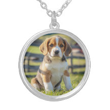 Runde des niedlichen Beagle