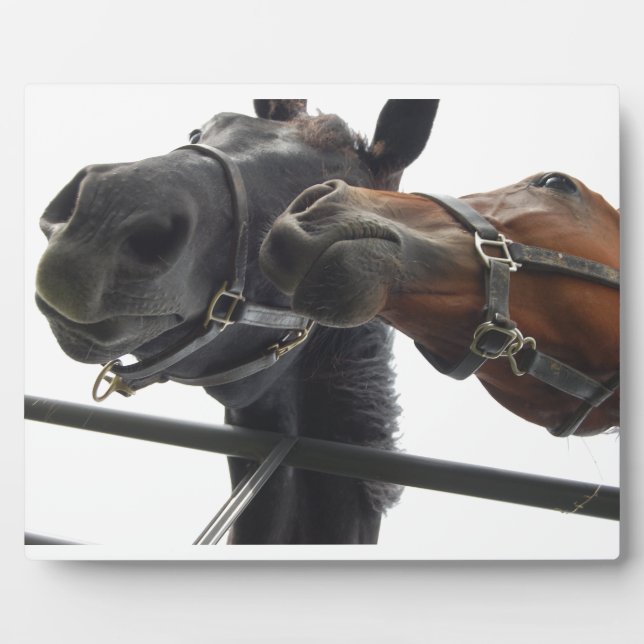 Runde Fotoplatte (Vorderseite)