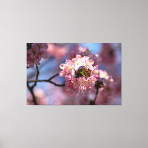 Runde Reihe von Sakura-Blume im Blut Leinwanddruck
