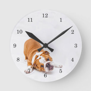 Runde Uhr für Boxer Welpe
