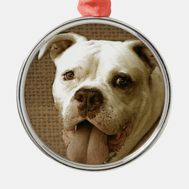 Runde Verzierung der amerikanischen Bulldogge Ornament Aus Metall (Vorne)