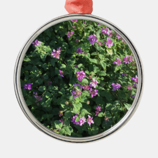 Runde Verzierung Silbernes Ornament